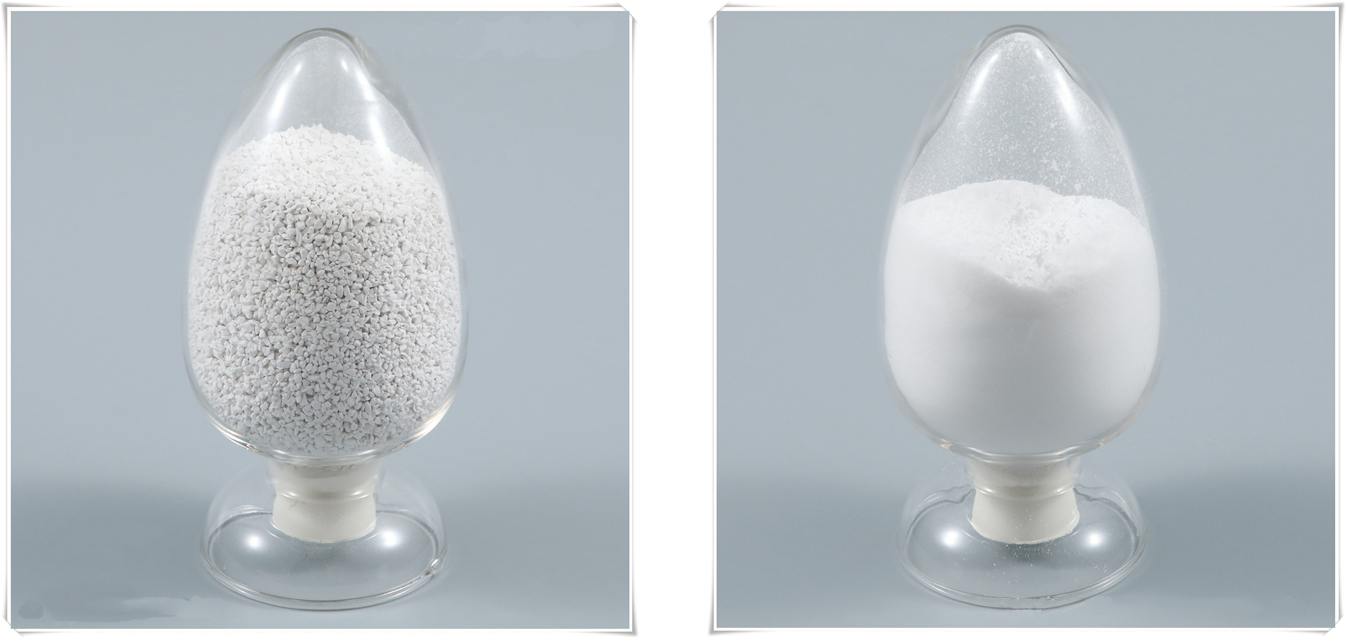 1583158546893265.jpg 下載.jpg