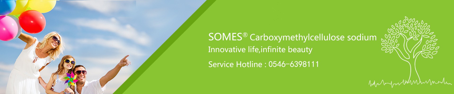 Carboxymethylcellulose sodium—Shandong SOMES Biotechnology Co.,Ltd.